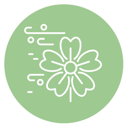 花粉症のご案内