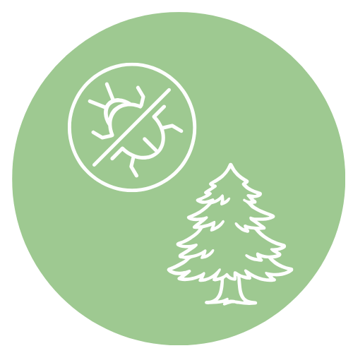 舌下免疫療法のリンク